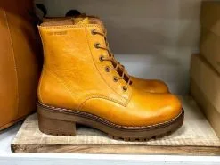 TenPoint Ten Points Clarisse